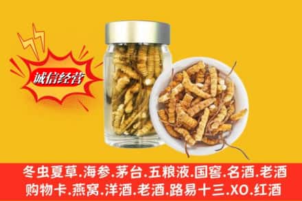 吕梁临县回收散虫草